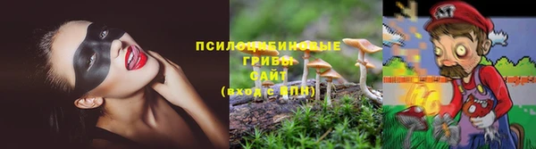 прущая мука Балахна