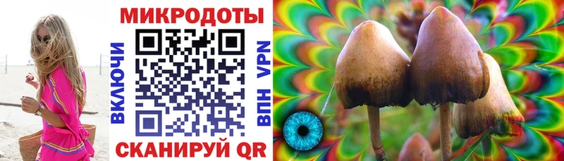 Галлюциногенные грибы Cubensis  сайты даркнета Telegram  Рудня  дарнет шоп  кракен зеркало 